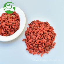 2017 nova safra 100% natural de goji berries frescos goji berries exportar bahrain